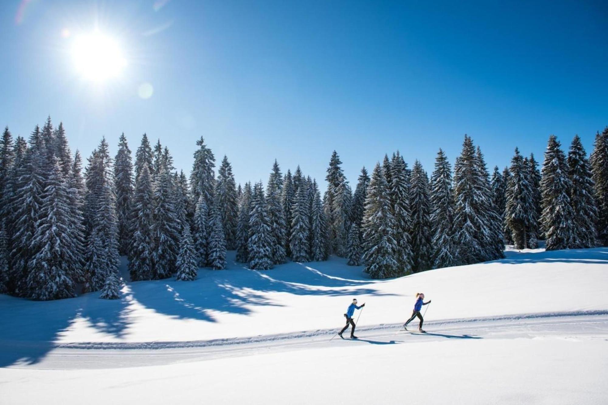 Superbe Appartement Au Pied Des Pistes -Le Chamois Ле-Дезерт Экстерьер фото